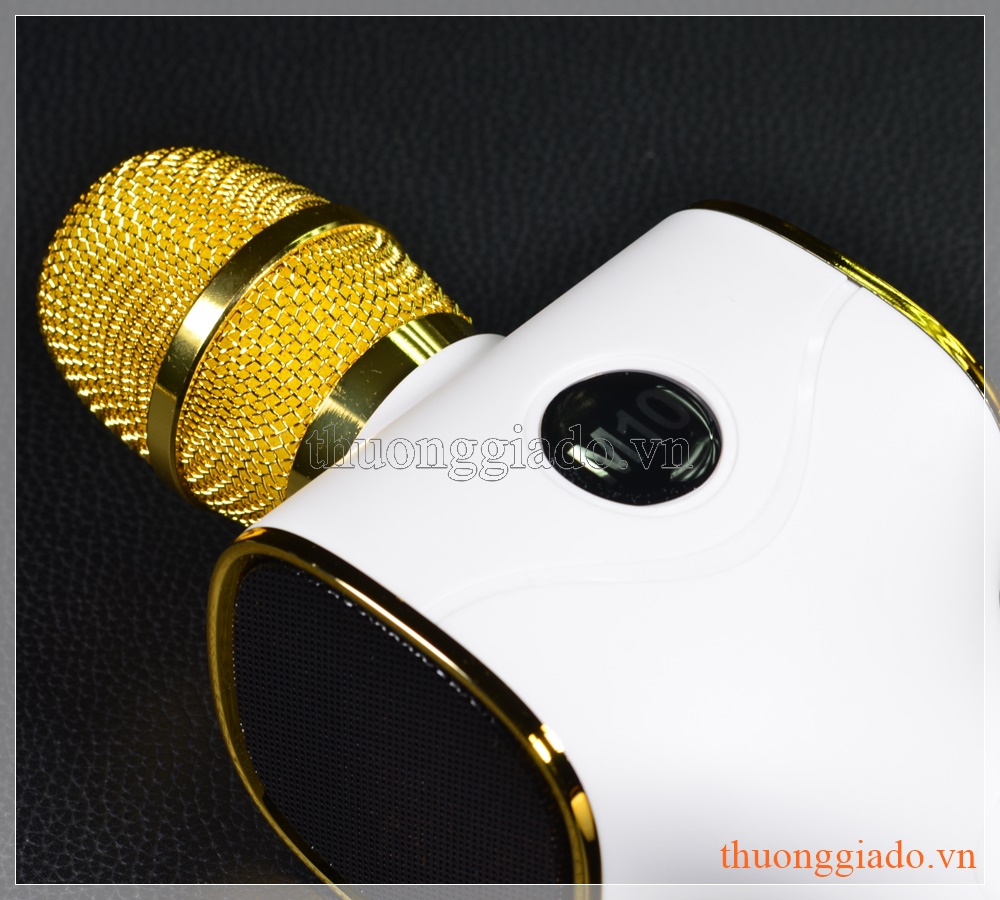 Míc kèm loa hát Karaoke M10 (có đèn led nhiều màu nhấp nháy)
