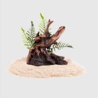 Bộ cảnh quan (tiểu cảnh) dương xỉ và gỗ chìm cho bể cá Xiaomi 20L / 30L (HFZJ200)