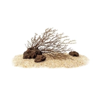 Bộ cảnh quan (tiểu cảnh) gỗ chết giả phong cách Nam Mỹ cho bể cá thông minh Xiaomi 20L