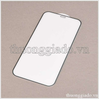 Miếng dán màn hình iPhone 12, 12 Pro (kính cường lực, 5D, 9H, full keo, full màn)