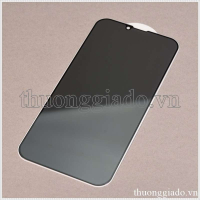 Miếng dán màn hình iPhone 13 Pro, iPhone 13 Pro Max (kính cường lực, chống nhìn trộm, 5D, 9H, full keo, full màn)