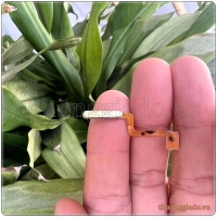 Thay cảm biến vân tay Samsung Galaxy Z Flip 1 F700F