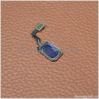 Thay cáp cảm biến vân tay Samsung Galaxy S10 5G