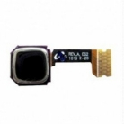 Trackball BlackBerry Torch 9800