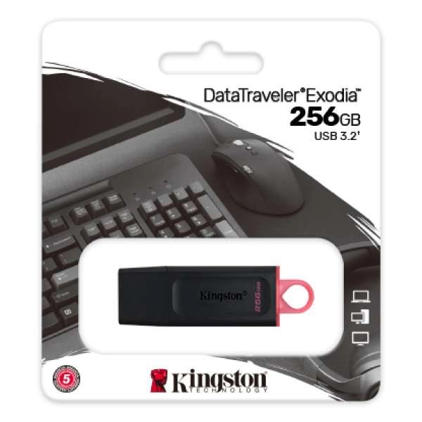 ​​​​​​​USB Kingston DataTraveler Exodia DTX 256GB