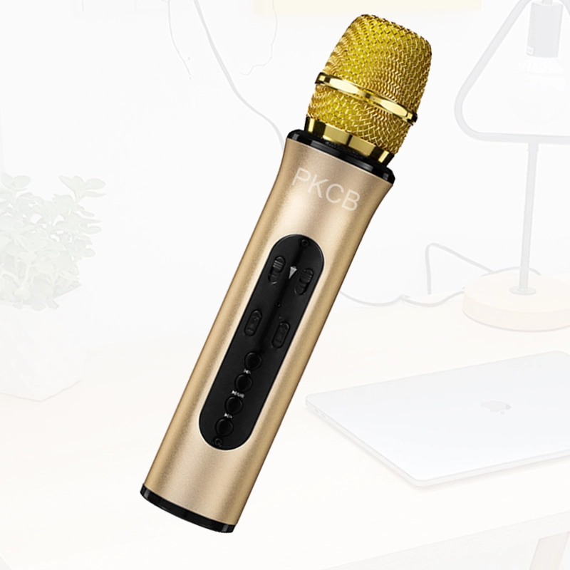Mic Karaoke kèm loa bluetooth PKCB K6L chính hãng