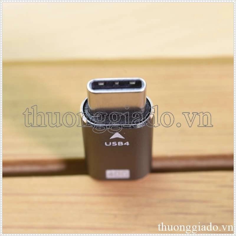 Đầu chuyển đổi Type C sang USB4 (USB 4) Đầu chuyển đổi Type C sang USB4 (USB 4)