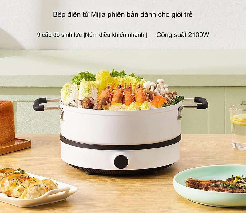Bếp điện từ Xiaomi Youth Lite DCL002CM