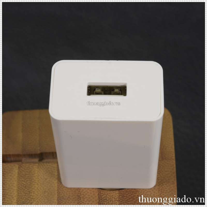 switching adapter 10w