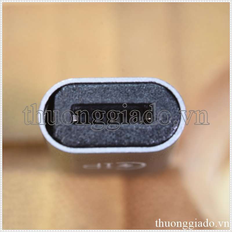 Đầu chuyển đổi lightning sang type c, lightning to type c
