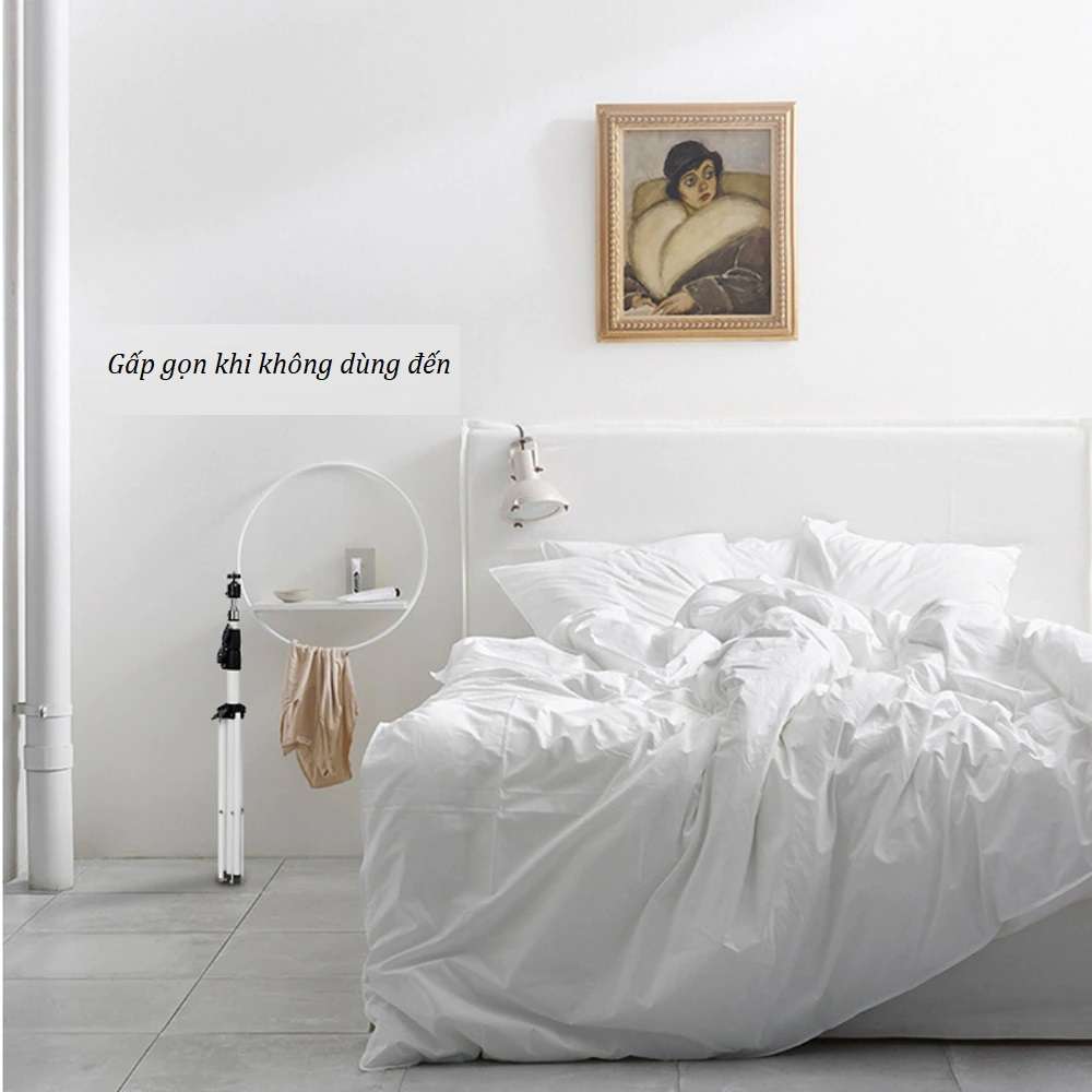 Giá đỡ máy chiếu Wanbo