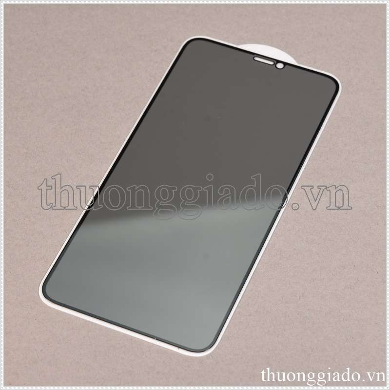Miếng dán màn hình iPhone XS Max (kính cường lực, chống nhìn trộm, 5D, 9H, full keo, full màn)