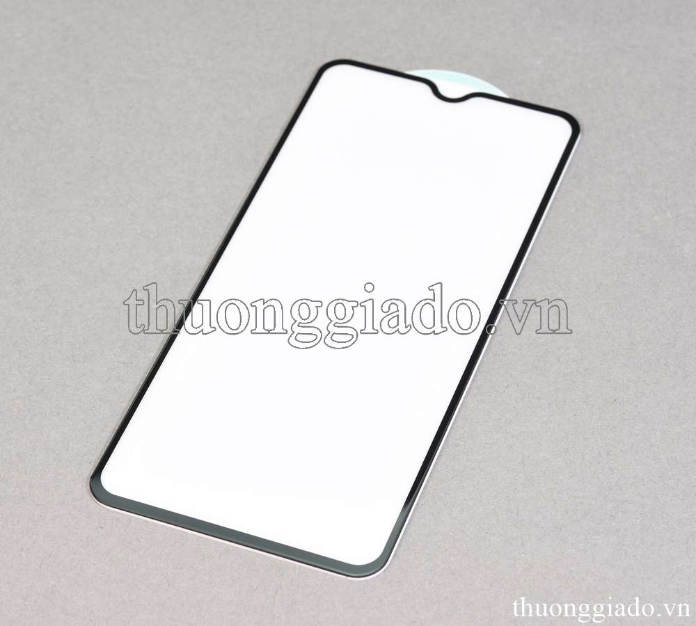 Miếng dán màn hình OnePlus 6T (1 6T)