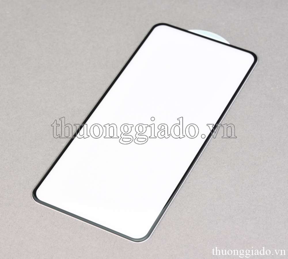 Miếng dán màn hình OnePlus 9