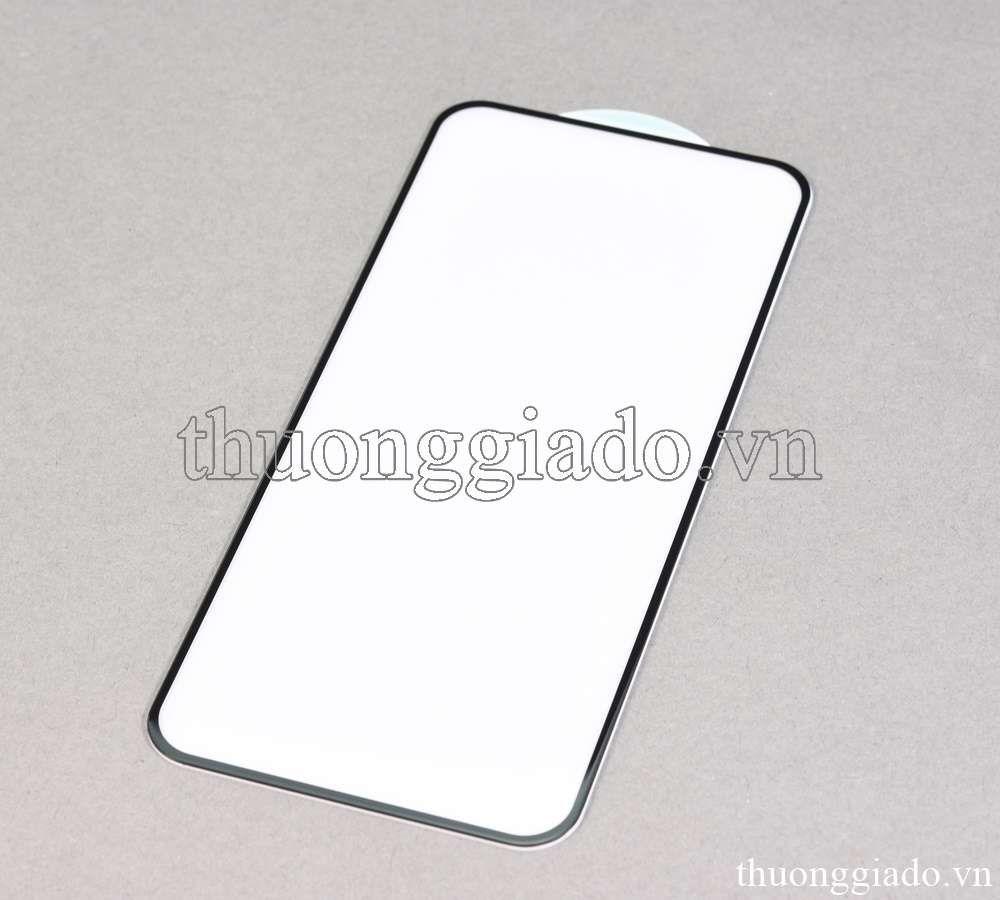 Miếng dán màn hình Oppo Reno 6Z