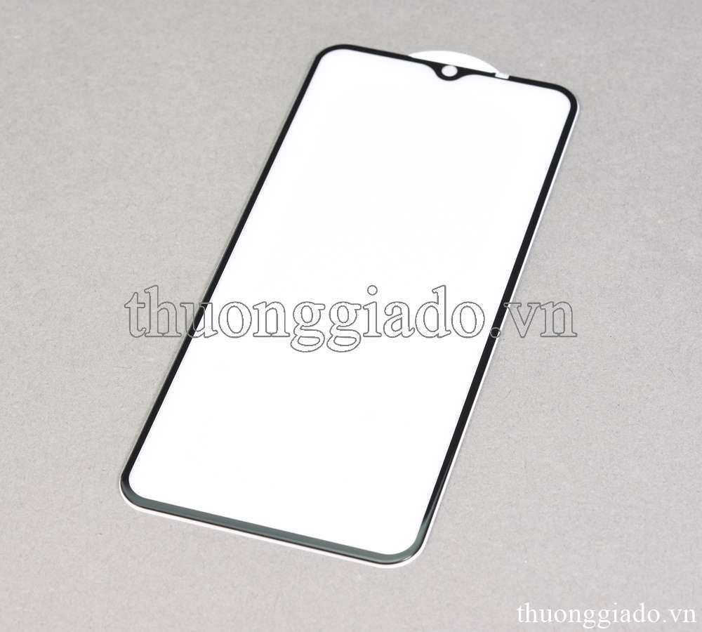 Miếng dán màn hình Vivo V20s