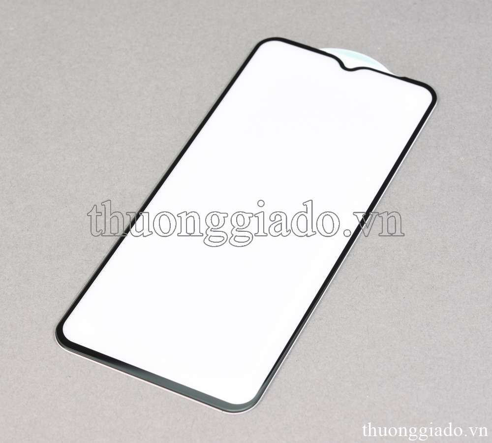 Miếng dán màn hình Vivo Y21s