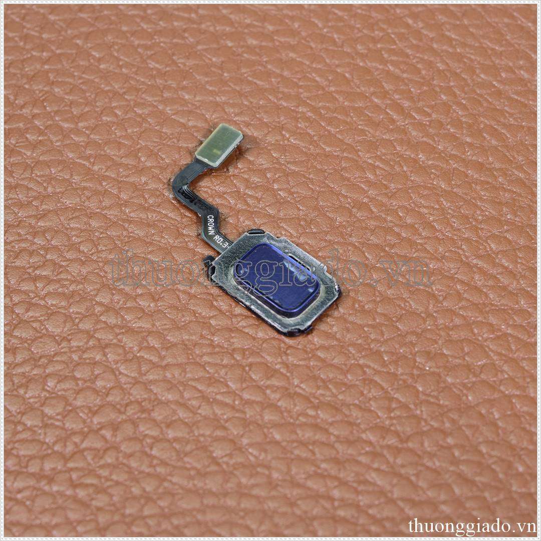 Thay cáp cảm biến vân tay Samsung Galaxy S10 5G