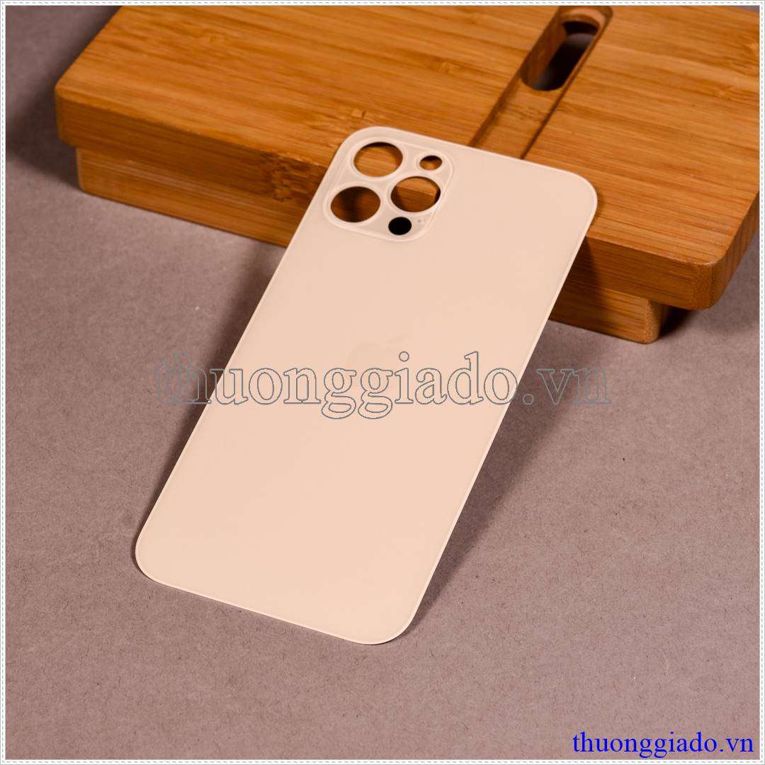 Thay kính lưng (nắp lưng) iPhone 12 Pro