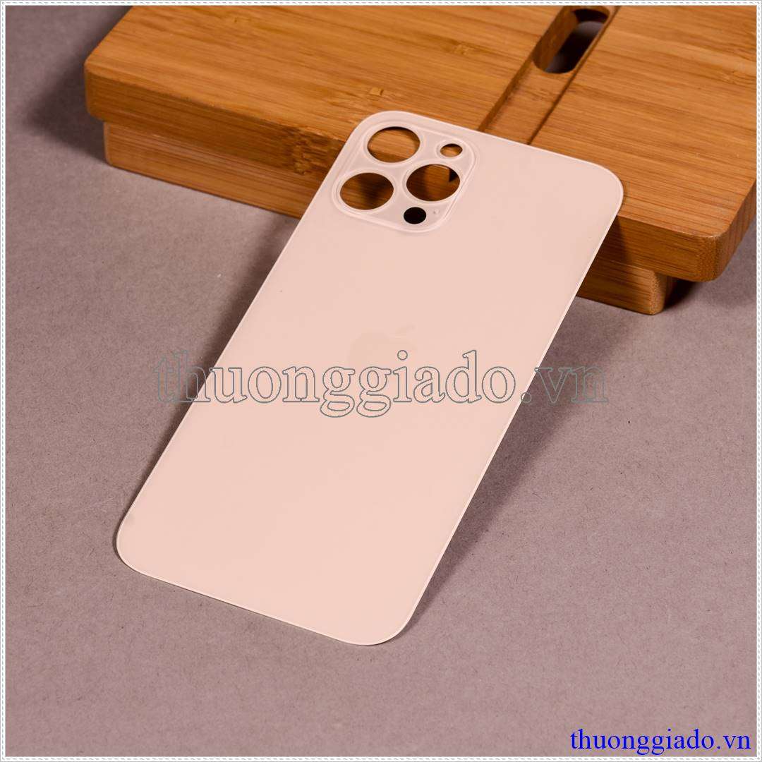 Thay kính lưng (nắp lưng) iPhone 12 Pro Max Lấy Ngay