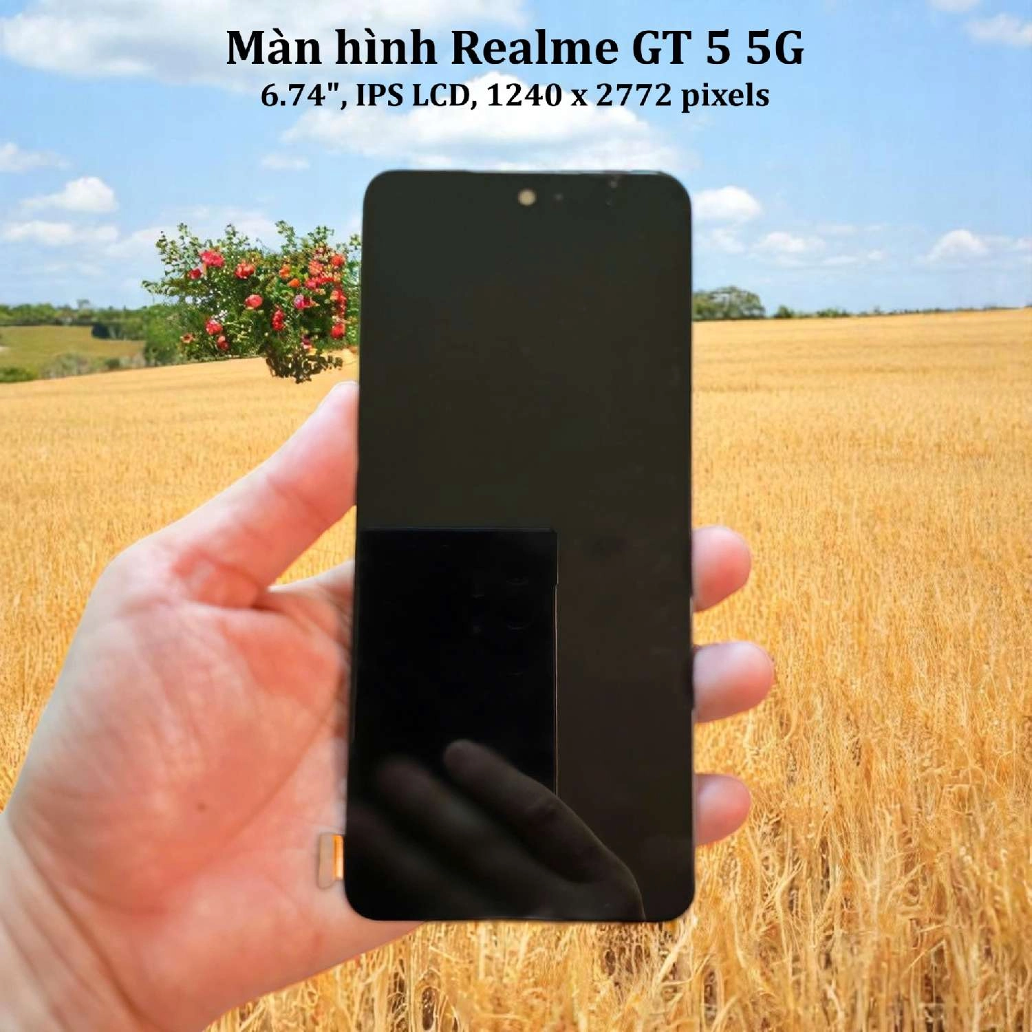 Thay màn hình Realme GT 5 5G, 6.74 inchs, IPS LCD, full hd 