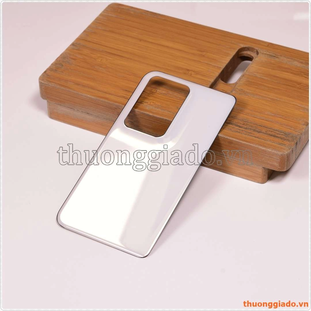 Thay nắp lưng (kính lưng) OPPO FIND N2