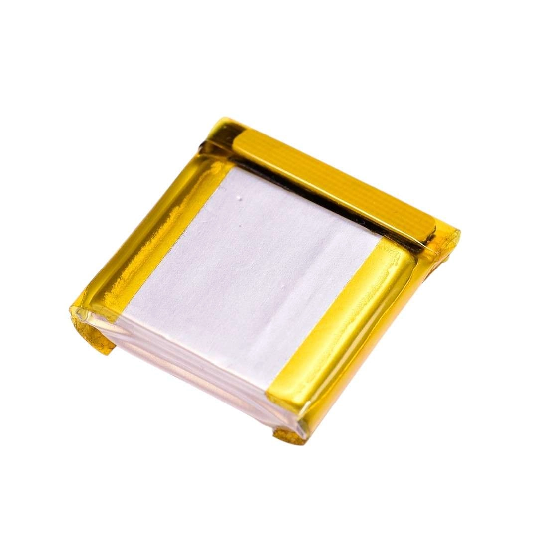 Thay Pin Amazfit GTR 2, GTR 2E (PL542524GH) 460mAh