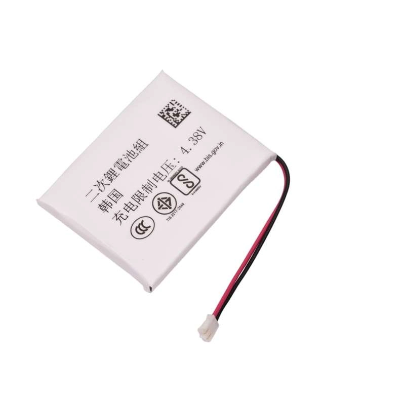 Thay Pin Garmin Fenix 5X (361-00098-00) 550mAh