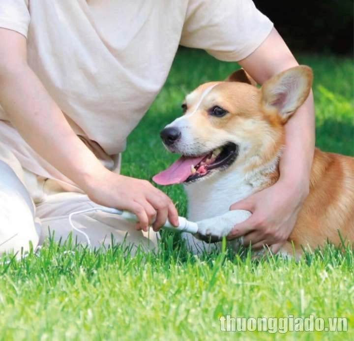 Máy mài móng điện cho thú cưng Xiaomi Pawbby (MG-NG001)