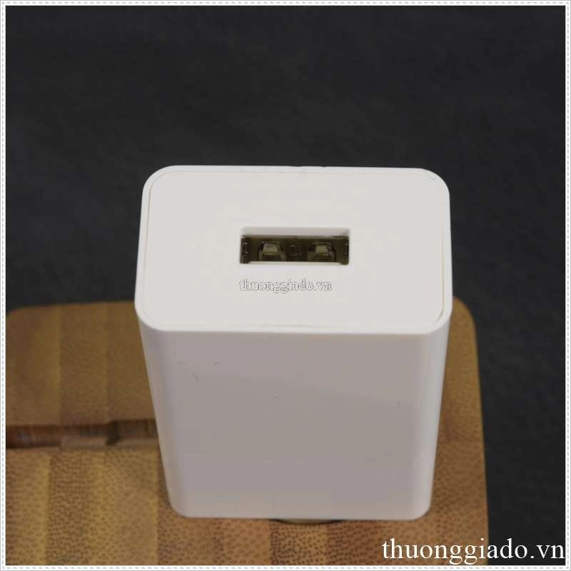 switching adapter 10w