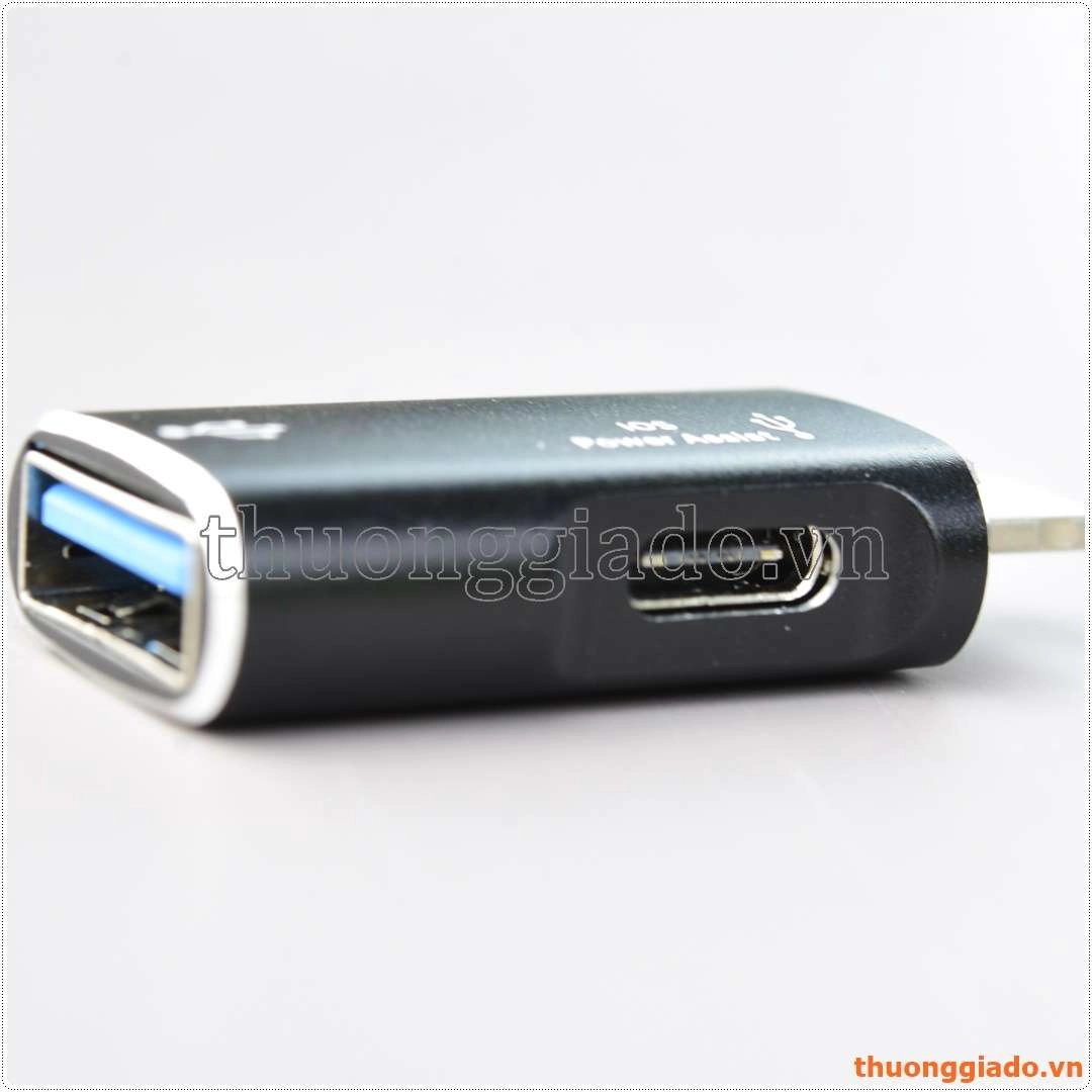 Lightning to type c   otg