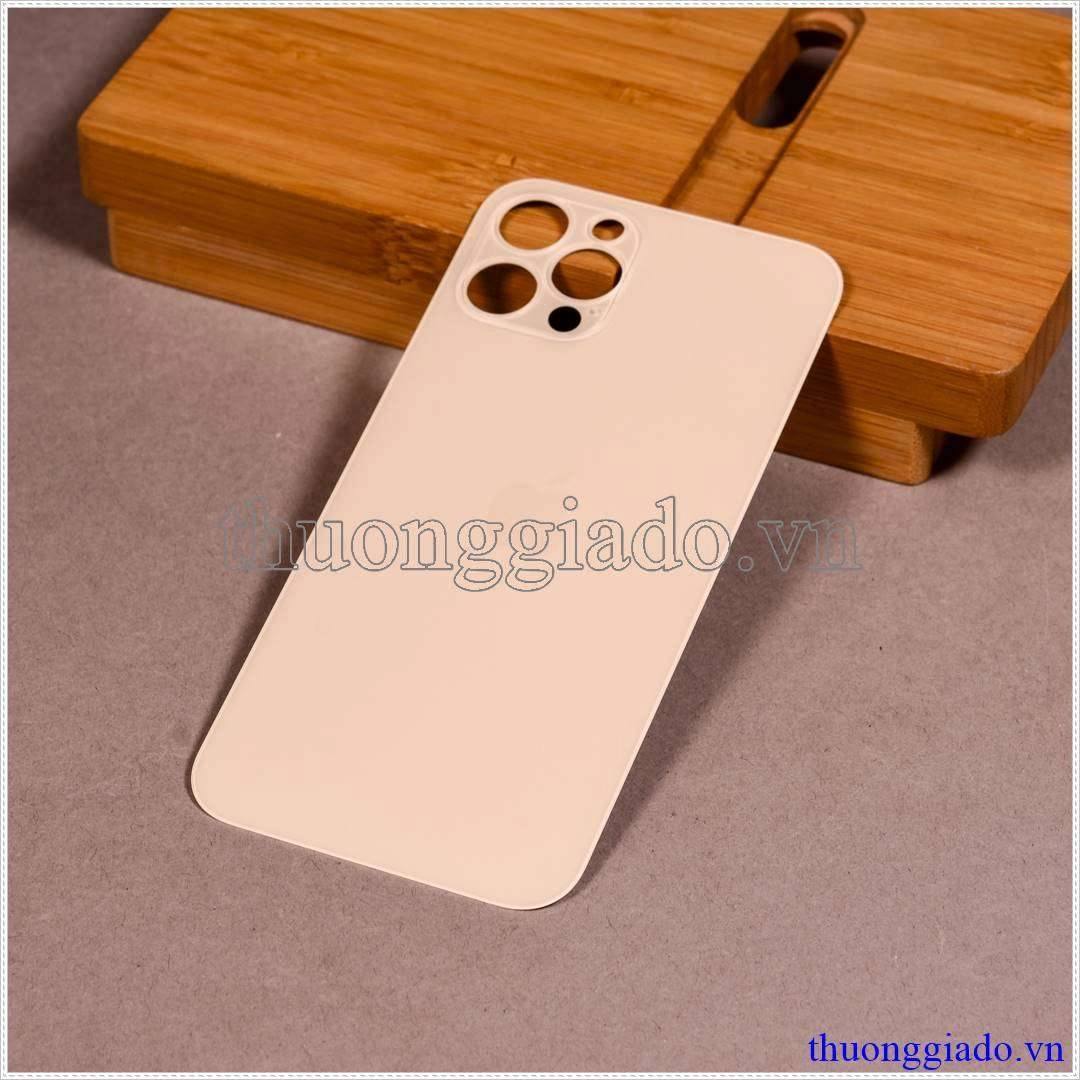 Thay kính lưng (nắp lưng) iPhone 12 Pro