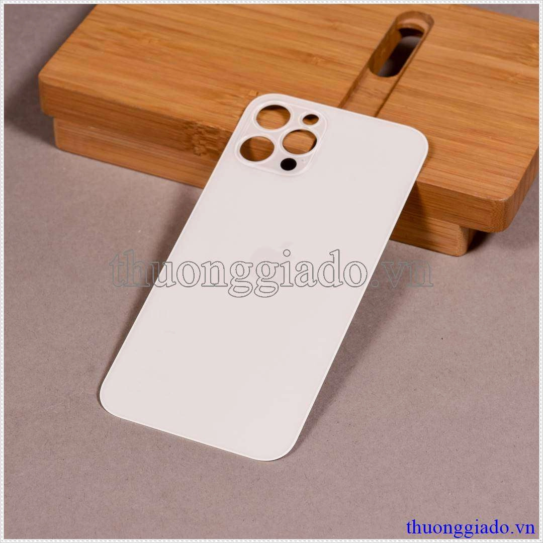 Thay kính lưng (nắp lưng) iPhone 12 Pro