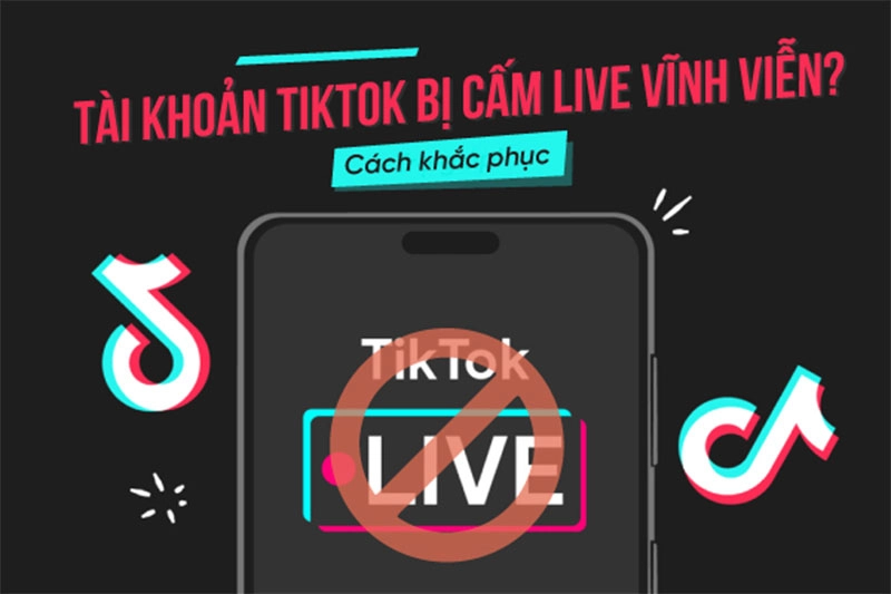 dau-hieu-cho-thay-tai-khoan-tiktok-bi-cam-live-vinh-vien