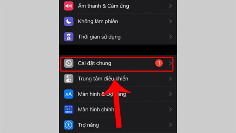 cach-khac-phuc-loi-man-hinh-iphone-16-pro-max-bi-djoi-mau-h6