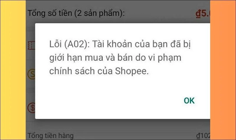 ly-do-khong-djat-hang-djuoc-tren-shopee-va-cach-khac-phuc-nhanh-chong-h10