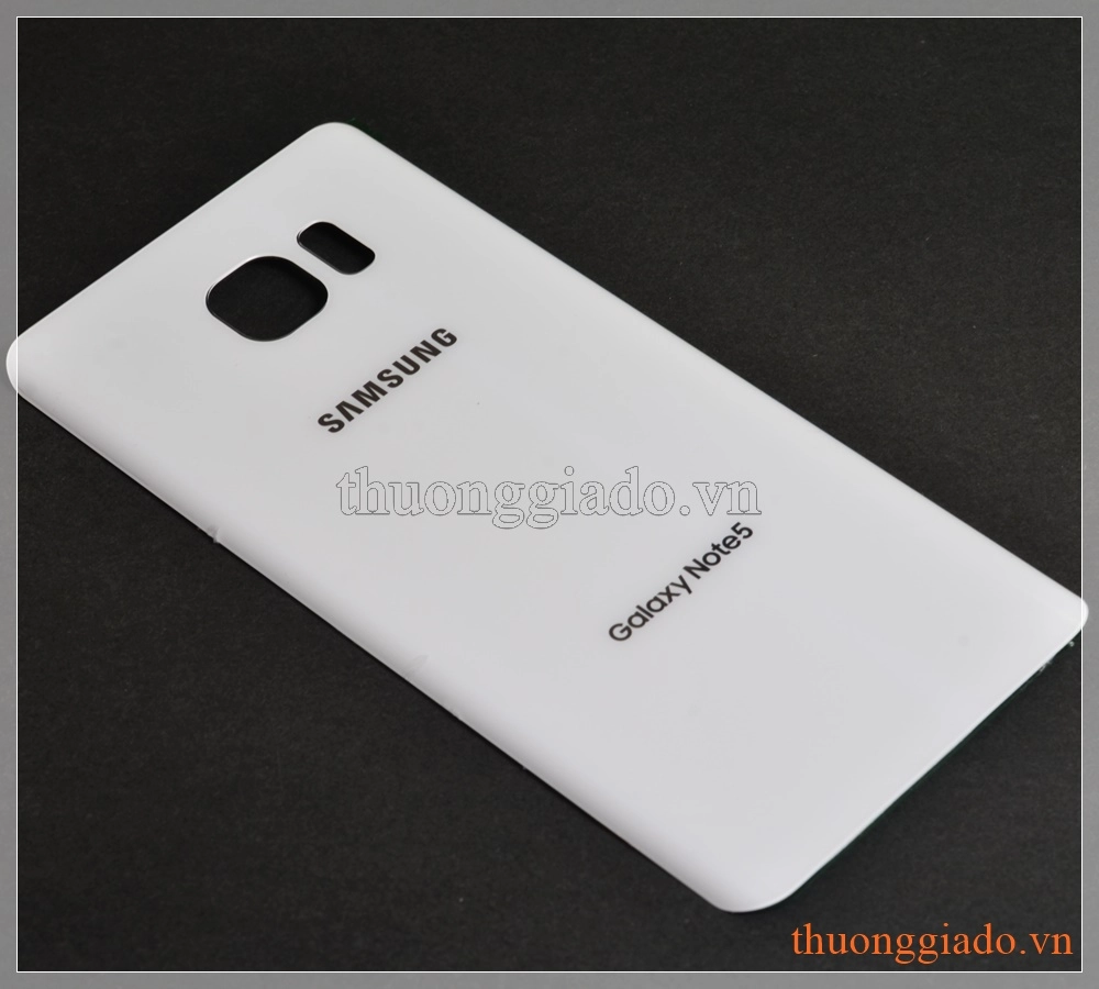 Thay nắp lưng kính Samsung Galaxy Note 5 N920 Glass Back Cover