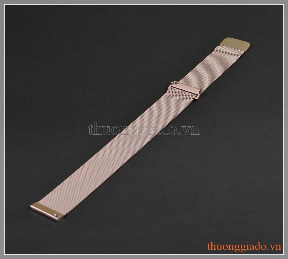 Dây đồng hồ Fitbit Blaze (khóa hít nam châm, mesh mắt nhỏ) Dây đồng hồ Fitbit Blaze (khóa hít nam châm, mesh mắt nhỏ)