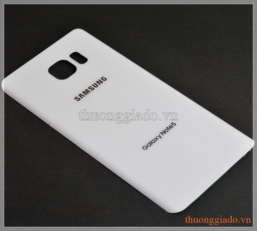 Thay nắp lưng kính Samsung Galaxy Note 5 N920 Glass Back Cover