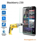 Miếng dán kính cường lực Blackberry Z30 Tempered Glass Screen Protector