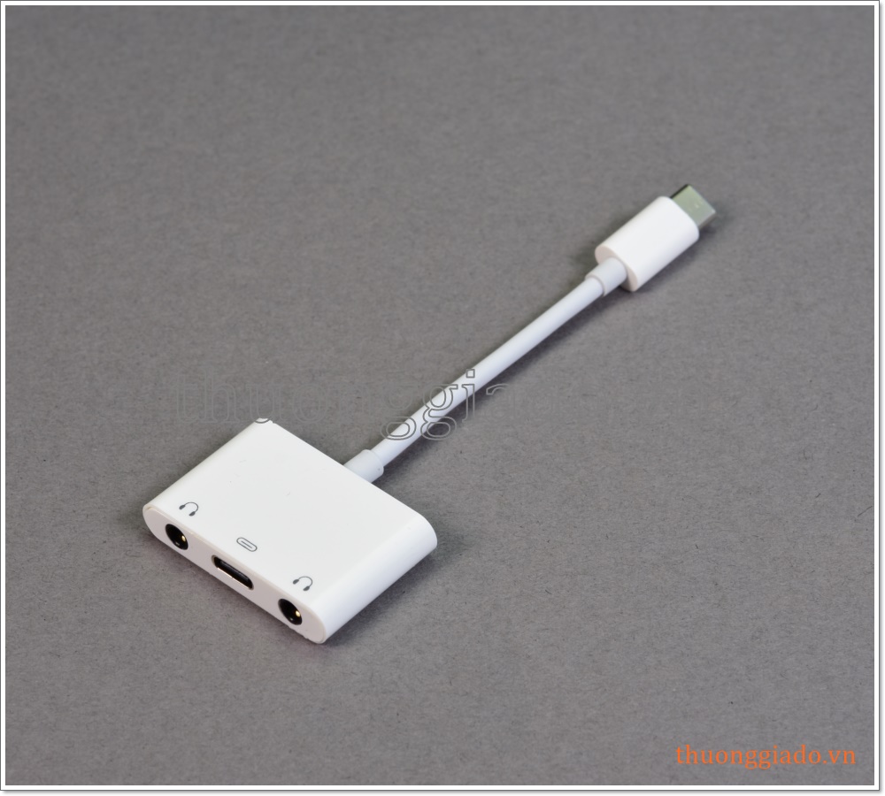 Cáp chuyển đổi tai nghe type c sang chân tròn 3.5mm (1 ra 3), pixel 2 xl