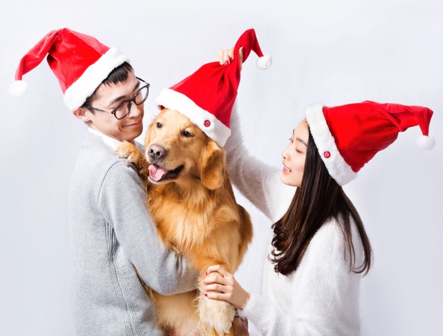Mũ Noel Xiaomi LF-CH201 (có thể phát nhạc và nhảy múa)