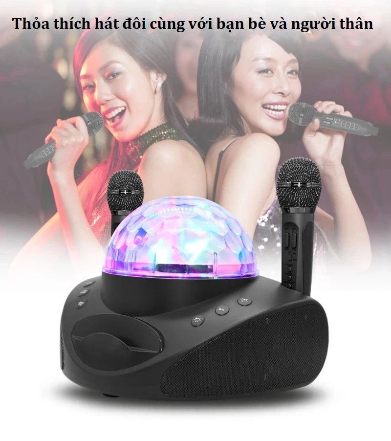 Loa kèm míc hát karaoke SDRD SD-308 (kèm 2 míc hát, công suất tối đa 30W)