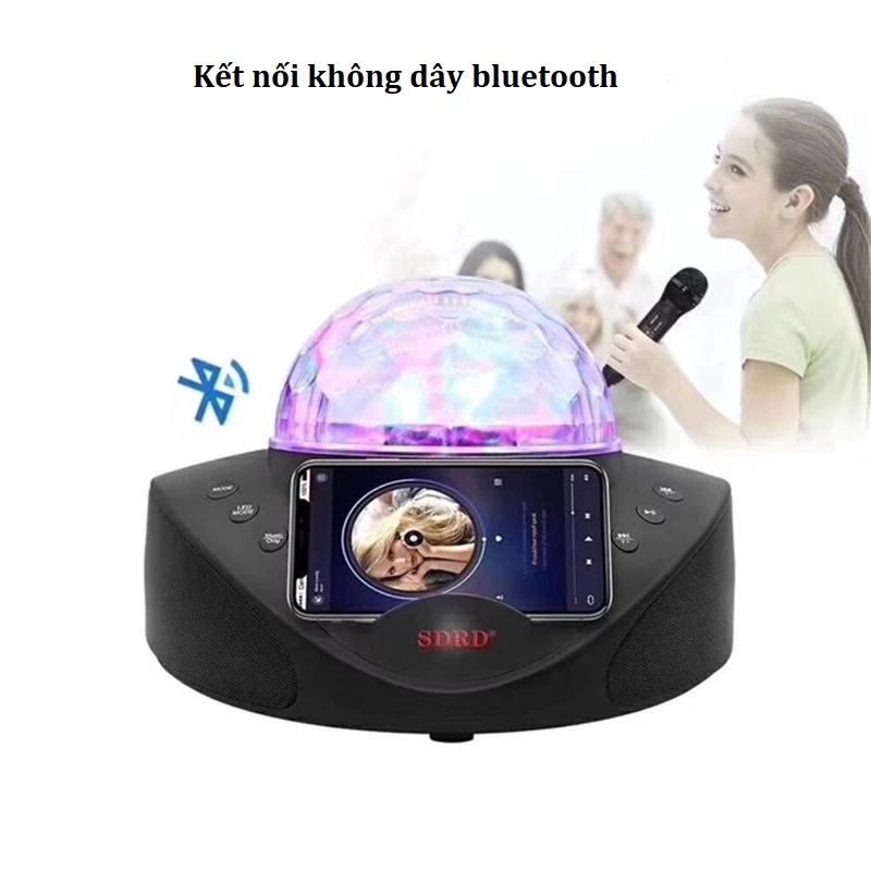 Loa kèm míc hát karaoke SDRD SD-308 (kèm 2 míc hát, công suất tối đa 30W)