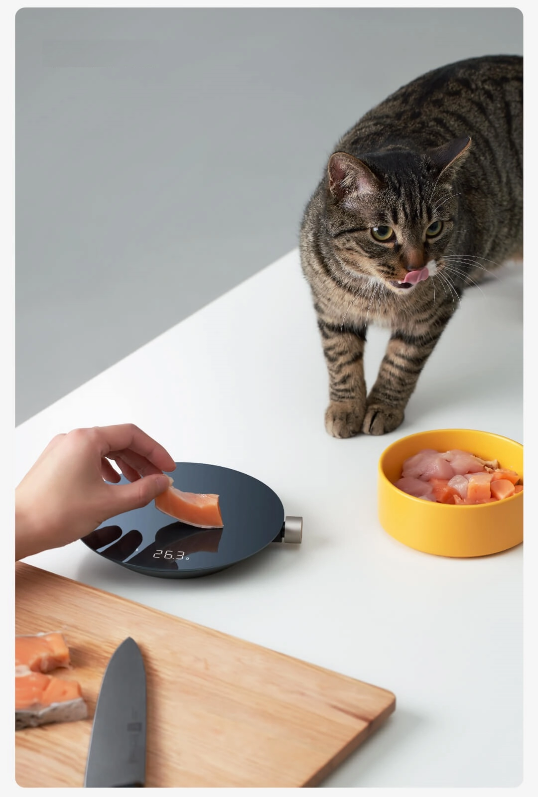 Cân nhà bếp thông minh Xiaomi HOTO (kết nối Mi Home) Cân nhà bếp thông minh Xiaomi HOTO (kết nối Mi Home)